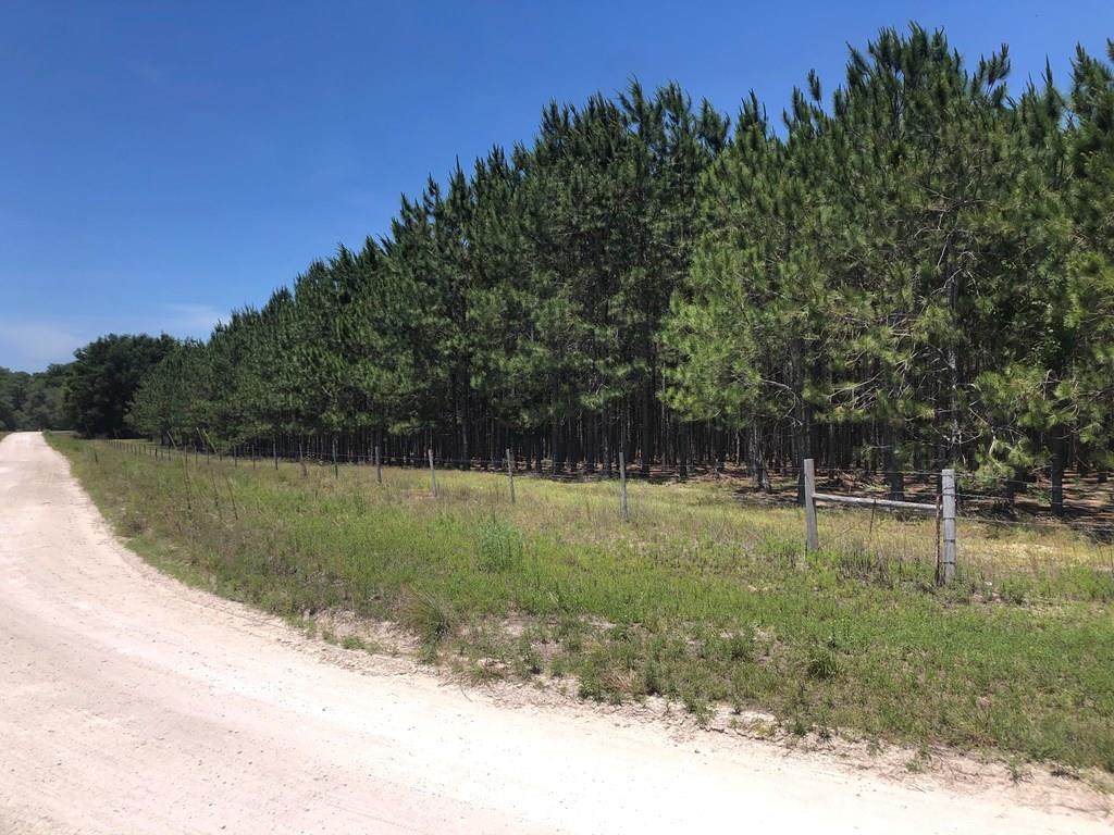 L33 41st Cir - Photo 1
