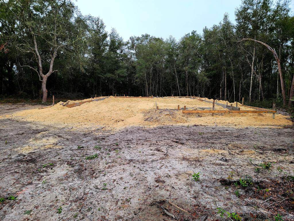10971 State Rd 24 - Photo 1