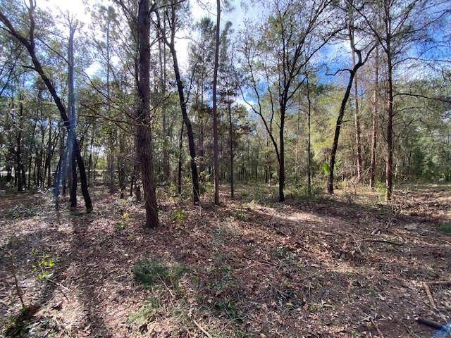 LOT 33 White Oak Dr - Photo 1
