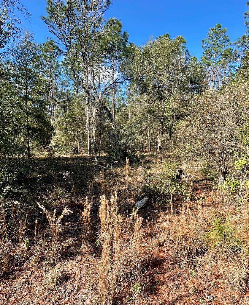 Lot 1 12th Ct - Photo 1