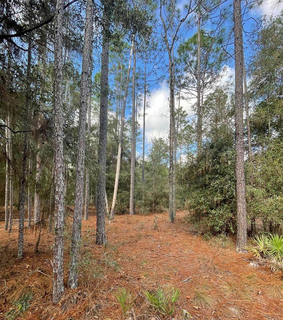 Lot 1 65th Ave - Photo 1