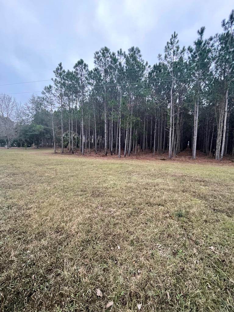 Cephas Liston Rd - Photo 1