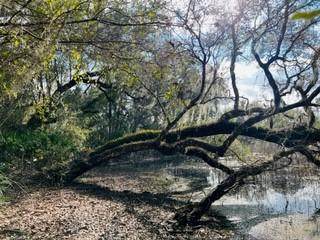 41st Way - Photo 1