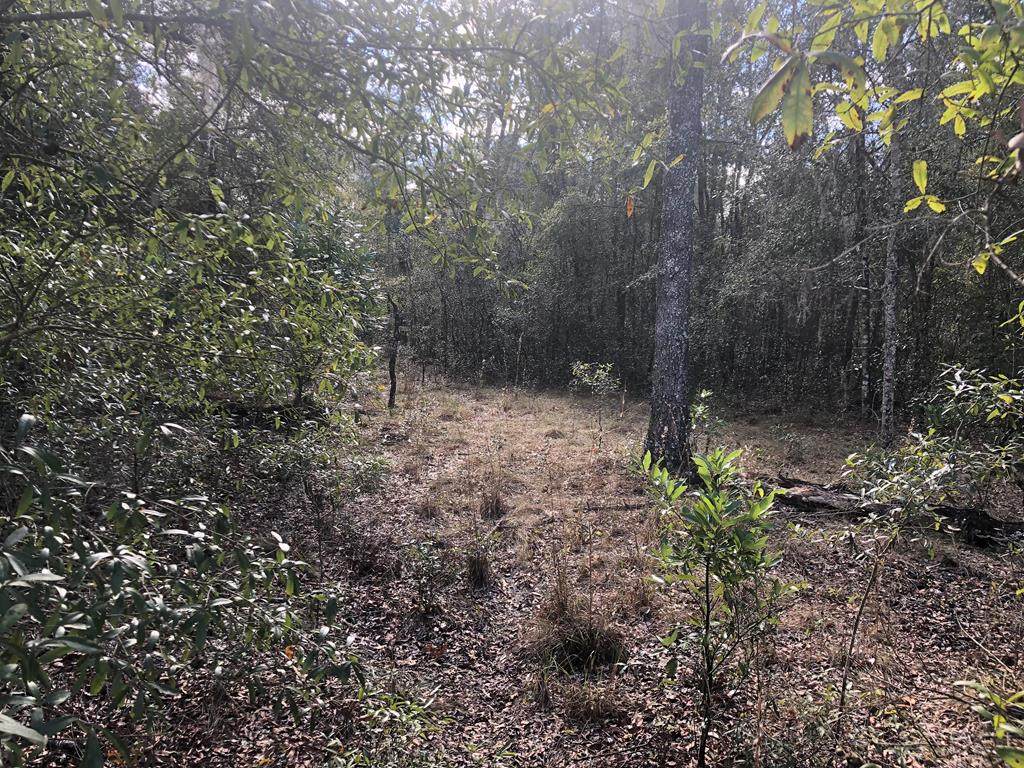 Lot 53 98th Ln - Photo 1
