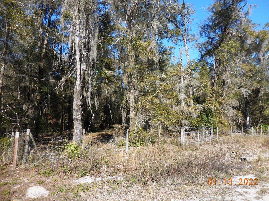 219th Ave - Photo 1