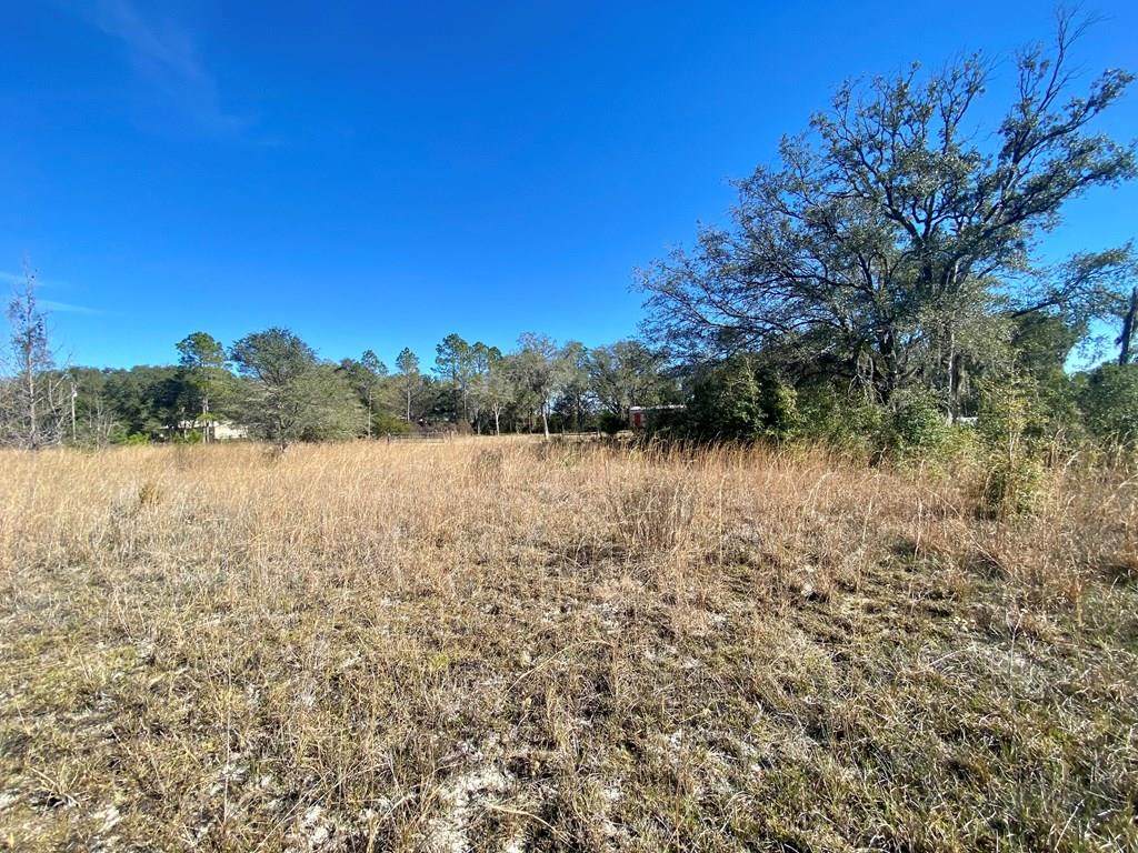 Lot 86 Hwy 55A - Photo 1