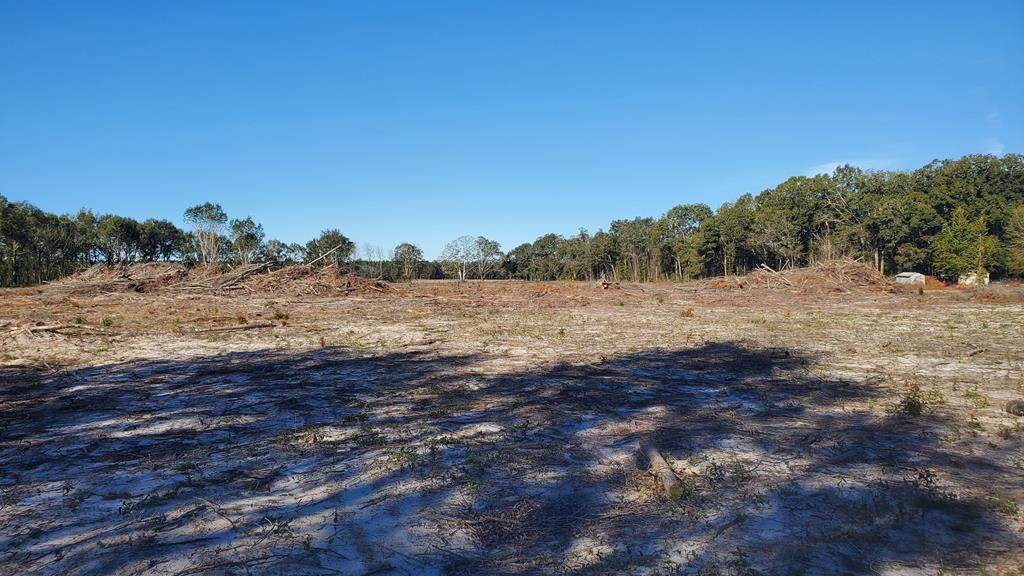 00 Cephas Liston Rd - Photo 1