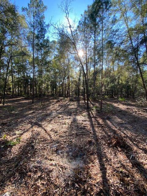 Lot 35 White Oak Dr - Photo 1