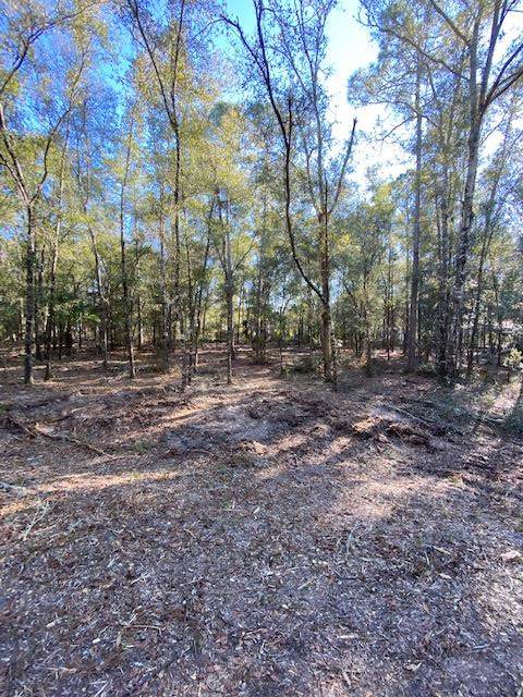 Lot 36 White Oak Dr - Photo 1