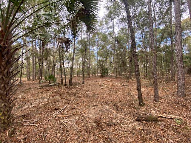 Lot 37 White Oak Dr - Photo 1