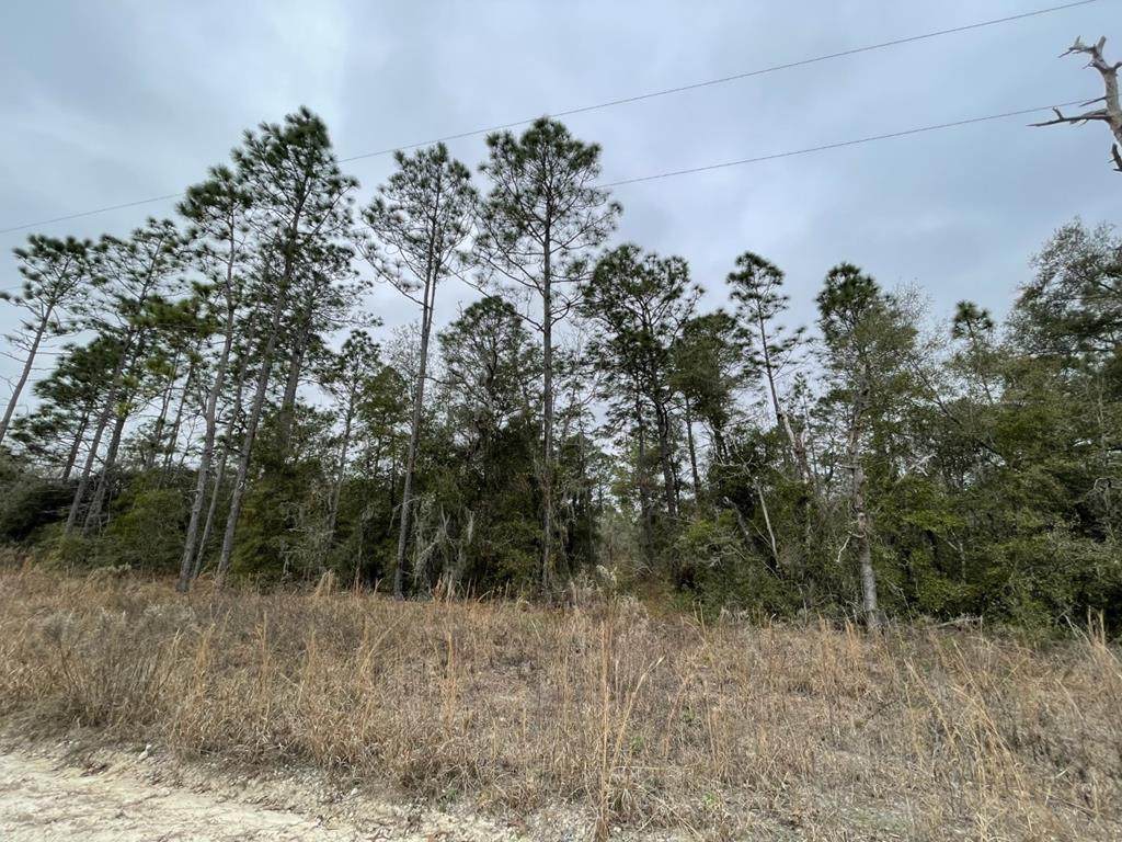0 157th Ave - Photo 1