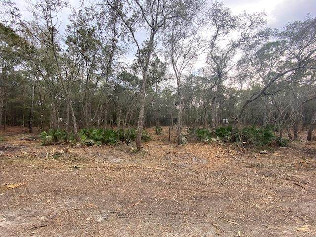 Lot 39 White Oak Dr - Photo 1