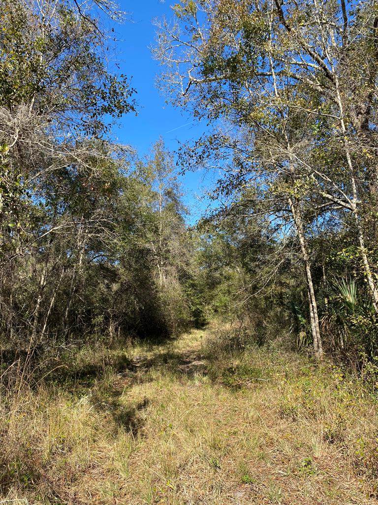 504 Roys Rd - Photo 1