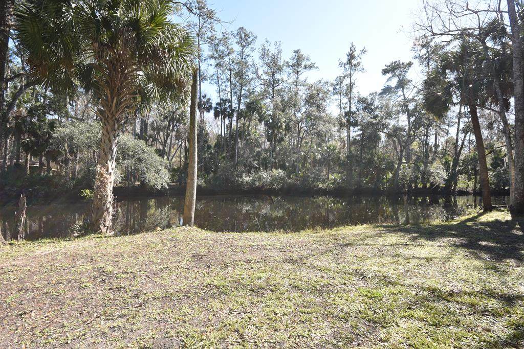 1408 Palm St - Photo 1