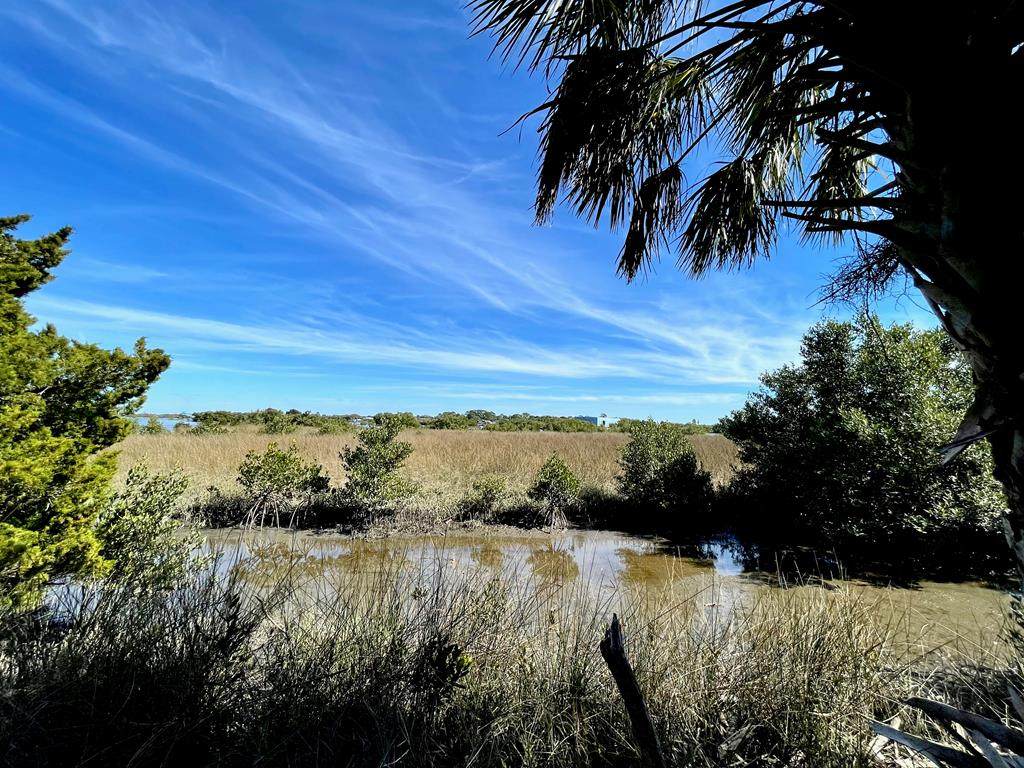10 Acres Paroda Ave - Photo 1