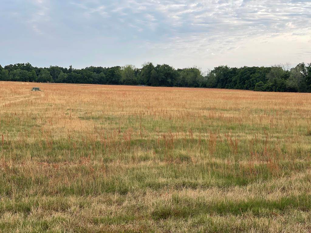 Lot 7 County Road 344 - Photo 1