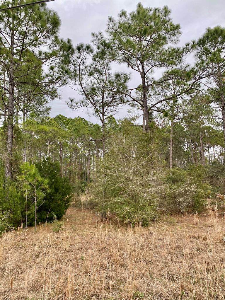 LOT 180 326th St - Photo 1
