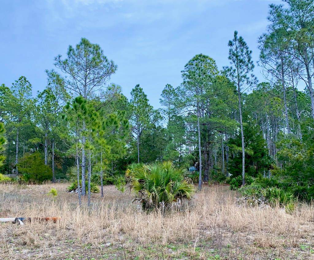 LOT 183 326th St - Photo 1