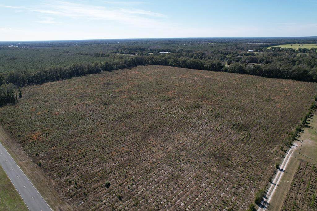 County Road 313 - Photo 1