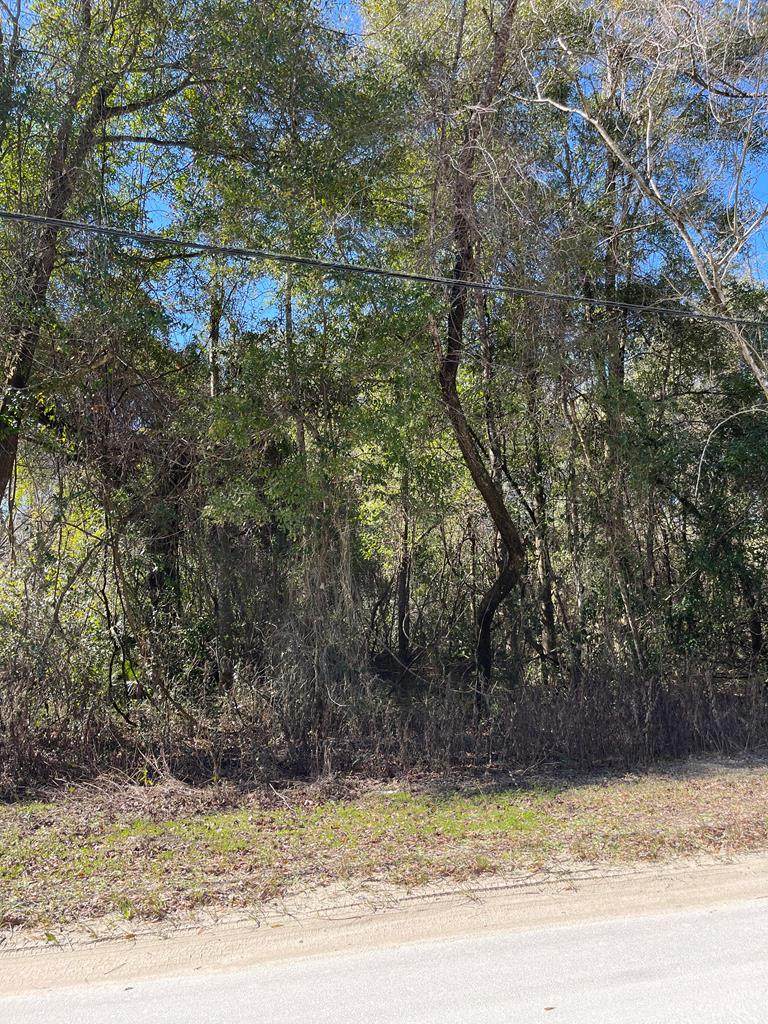 Florida St - Photo 1