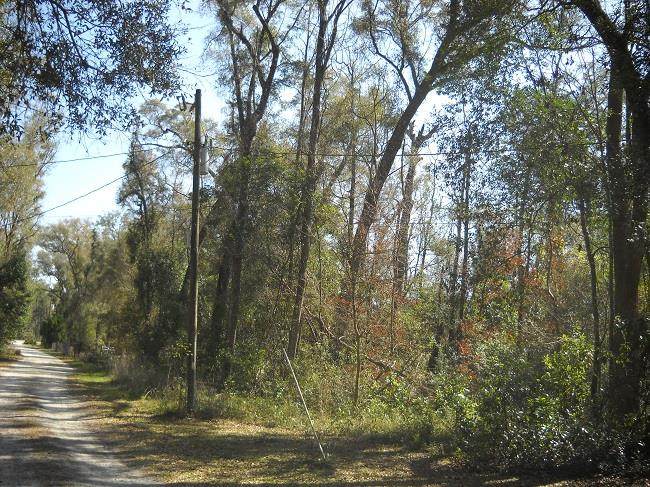 Lot 5 185th Ave - Photo 1