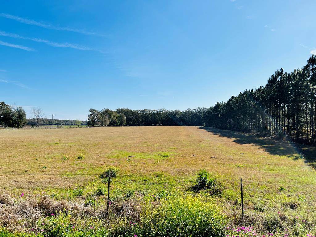 TBD County Road 232 - Photo 1
