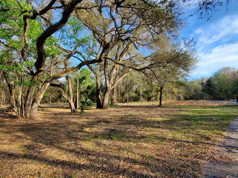 Lot 11 76th Ter - Photo 1