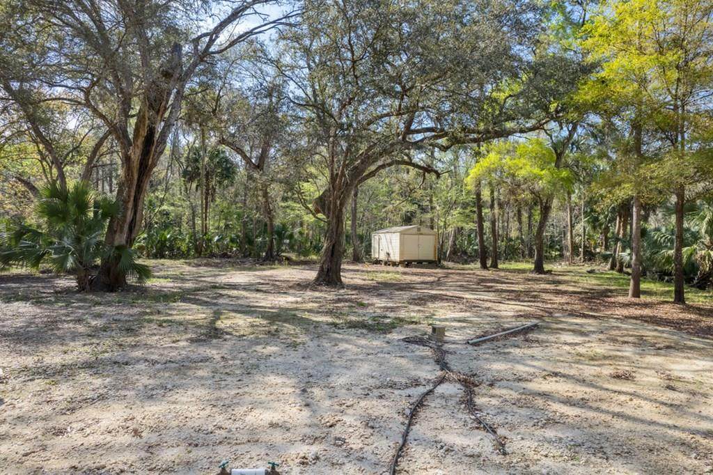 1523 Palm St - Photo 1