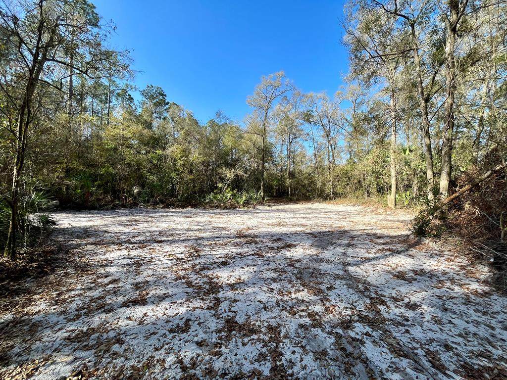 LOT 17 796th St - Photo 1