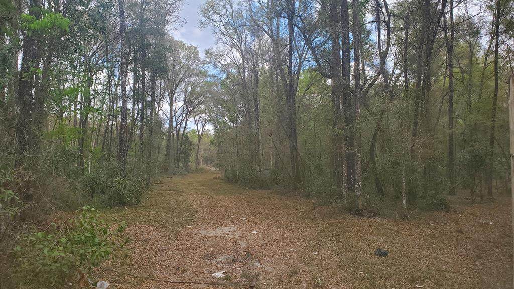 272 188th Ave - Photo 1