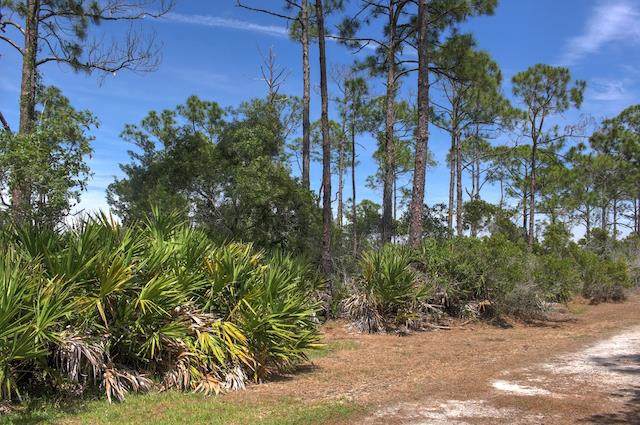 Lot 36 Museum Dr Easement - Photo 1