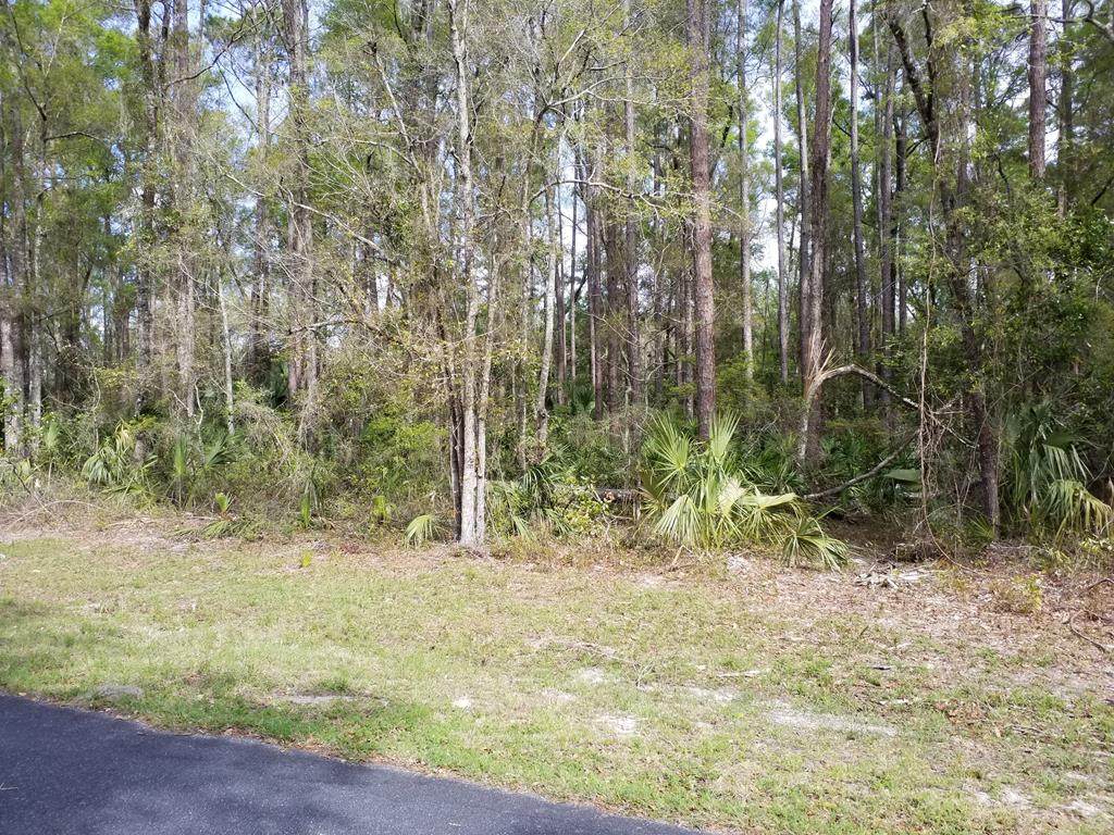 Lot 10 90th St - Photo 1