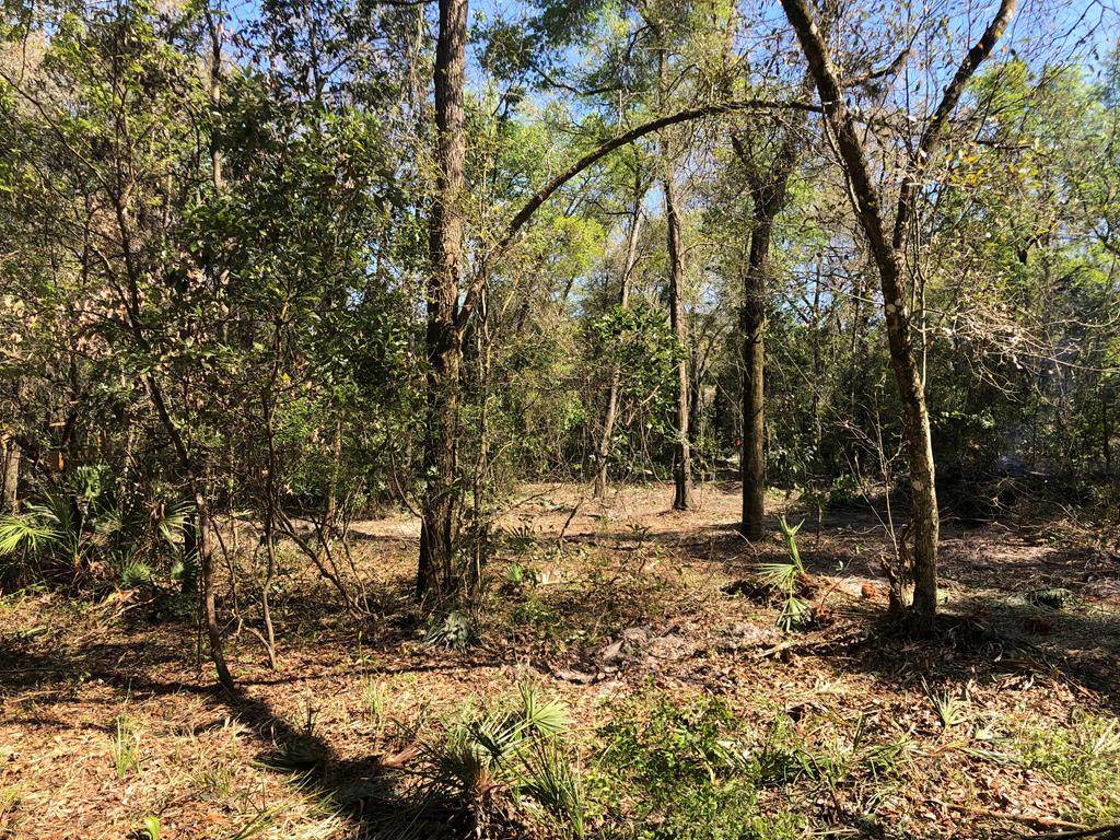 LOT 33 County Road 341 - Photo 1