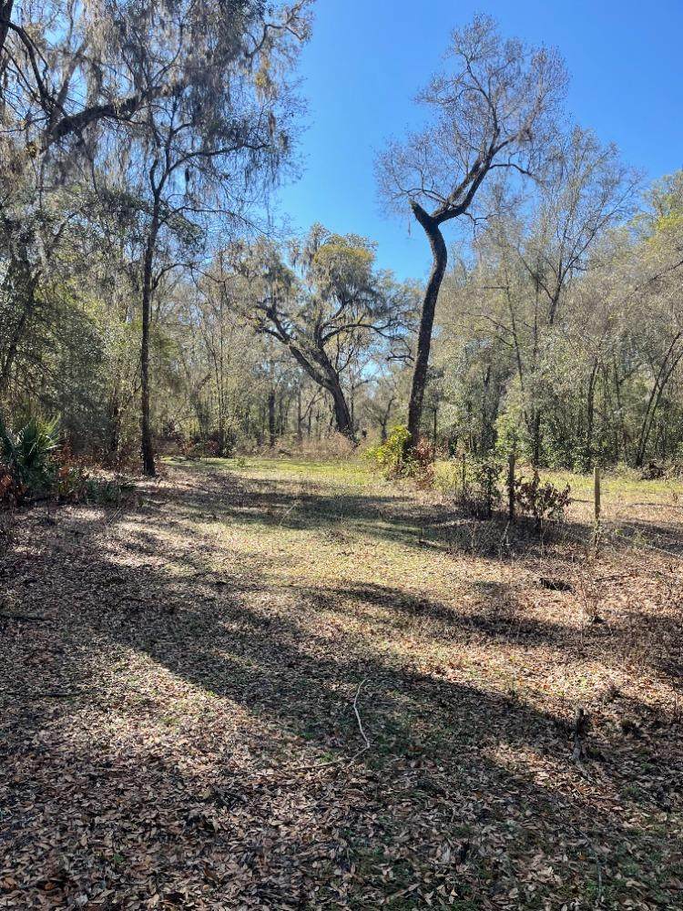 TBD Carolina Way - Photo 1
