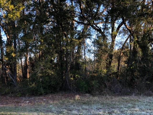12151 Old Fannin Rd - Photo 1