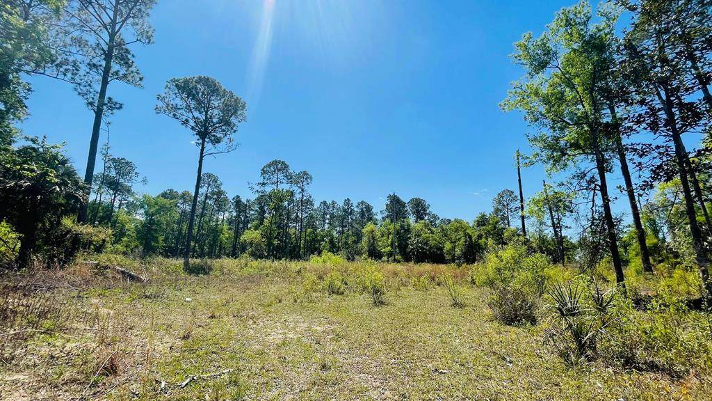 1351 State Rd 24 - Photo 1