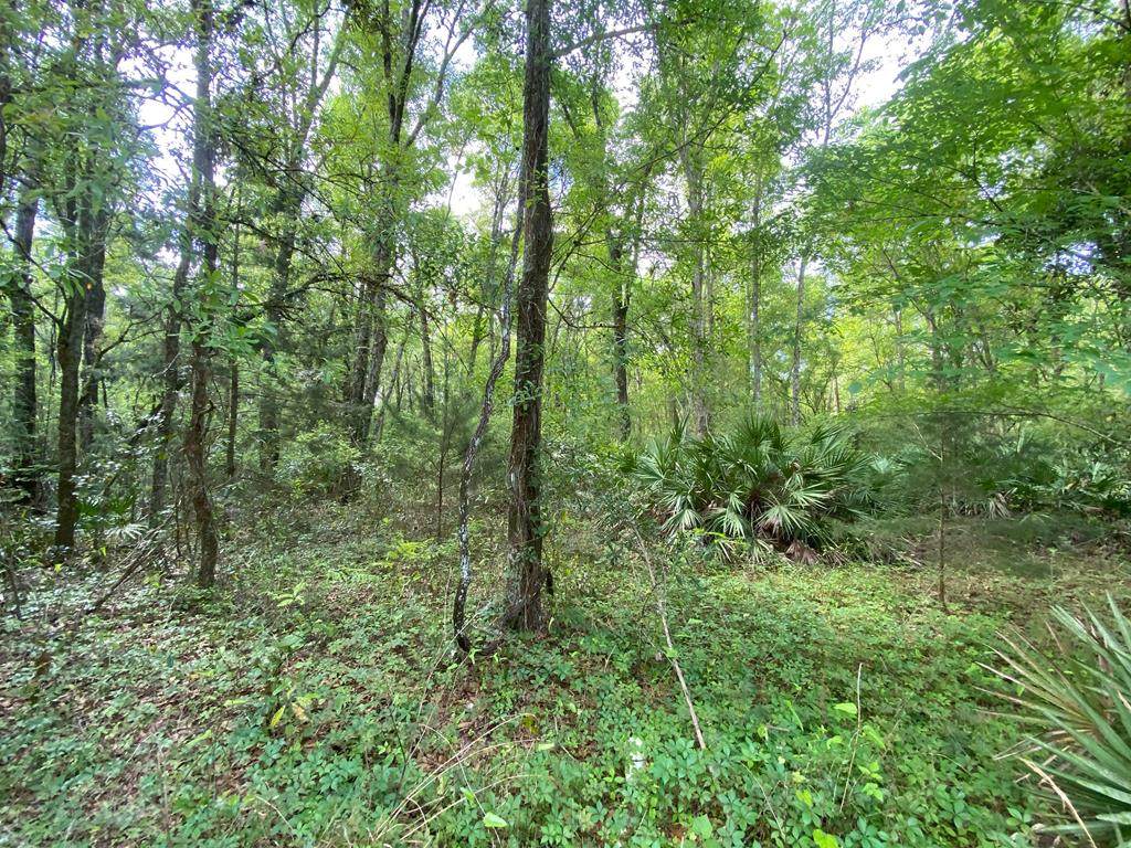 Lot 14 103rd Pl - Photo 1