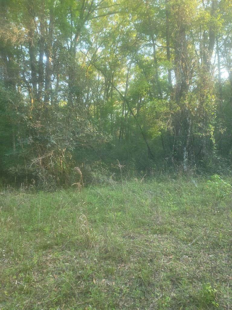 Lot 39 266th Ave - Photo 1