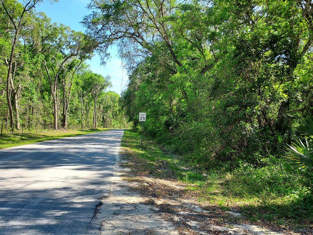 TBD 159th Ave - Photo 1