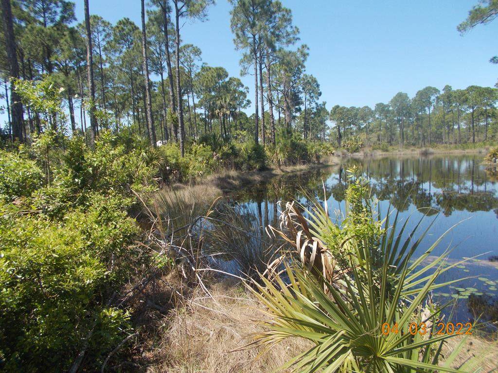 Lot #81 101st Ln - Photo 1