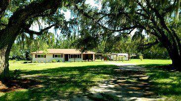 7393 County Road 353 - Photo 1