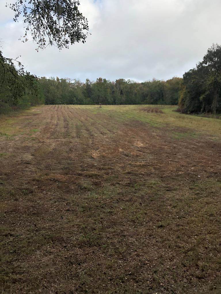 Mt Olive Church Rd - Photo 1