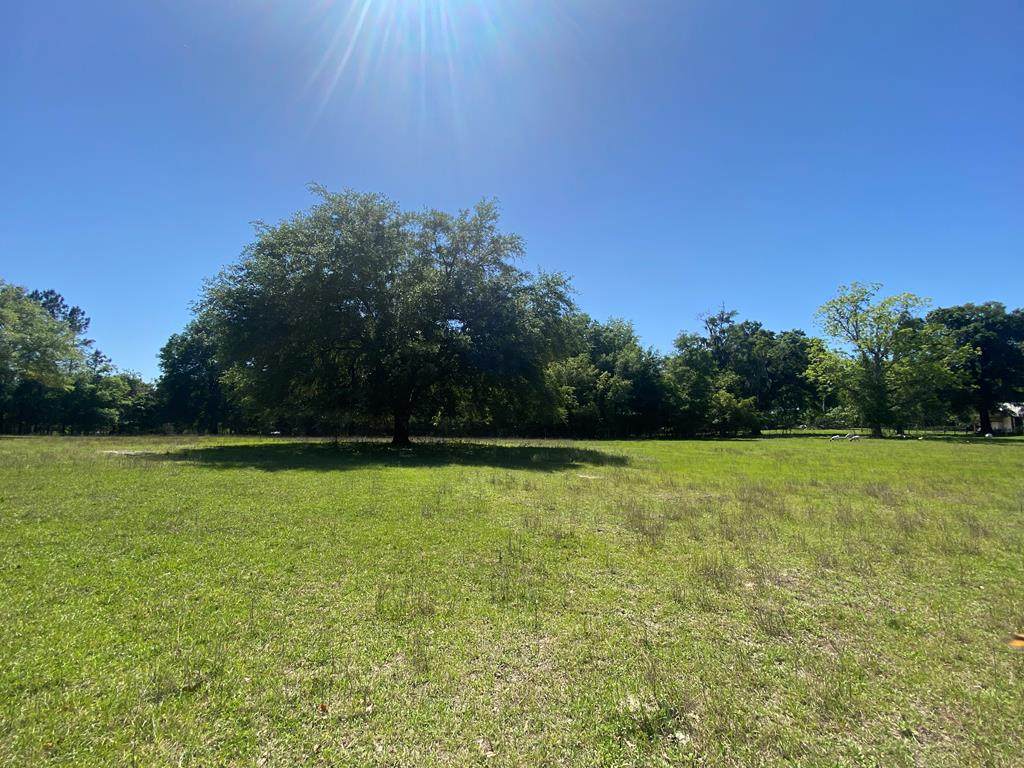 28105 Newberry Rd - Photo 1