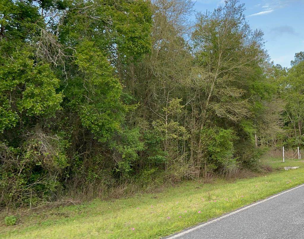 Lot 2 168th St - Photo 1