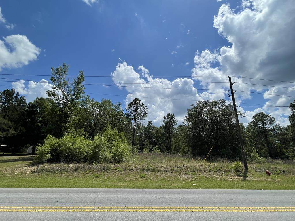 Rainbow Lakes Blvd - Photo 1