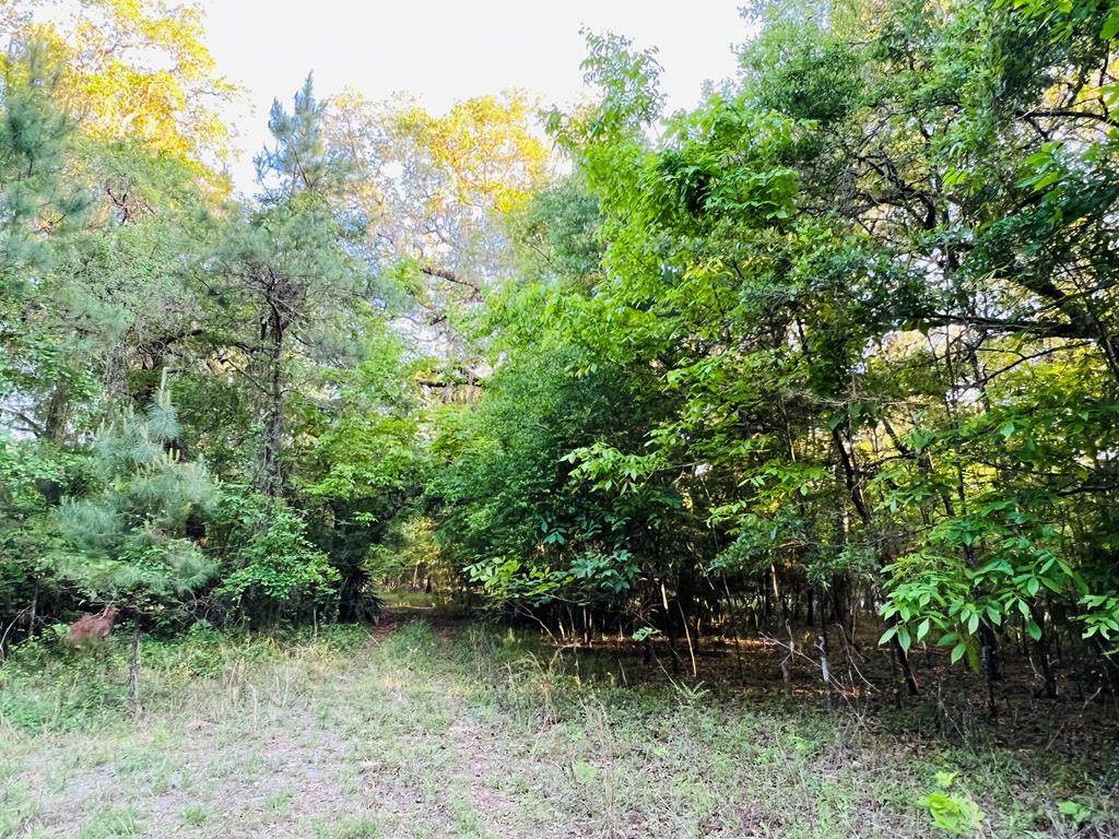 LOT 9 76th Ter - Photo 1