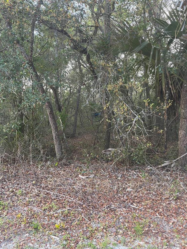 0 149th Ave - Photo 1