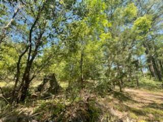 0 188th Ave - Photo 1