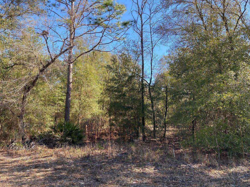 00 12th Ct - Photo 1