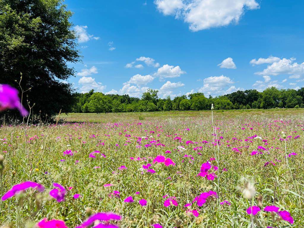 LOT 2 47th Ct - Photo 1